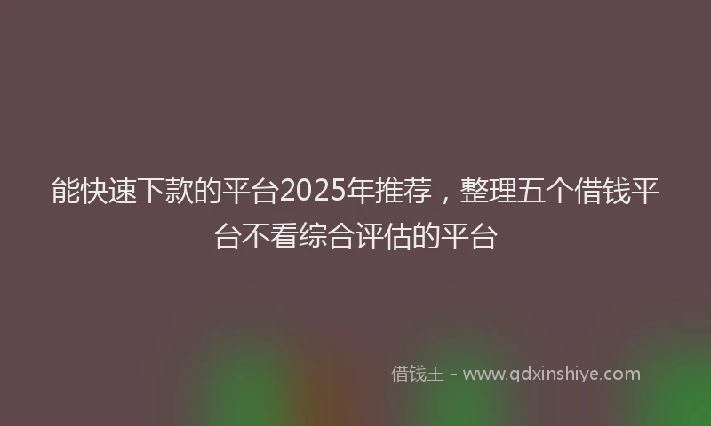 能快速下款的平台2025年推荐，整理五个借钱平台不看综合评估的平台