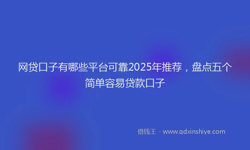 网贷口子有哪些平台可靠2025年推荐，盘点五个简单容易贷款口子