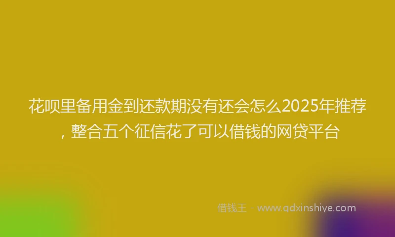 花呗里备用金到还款期没有还会怎么2025年推荐，整合五个征信花了可以借钱的网贷平台