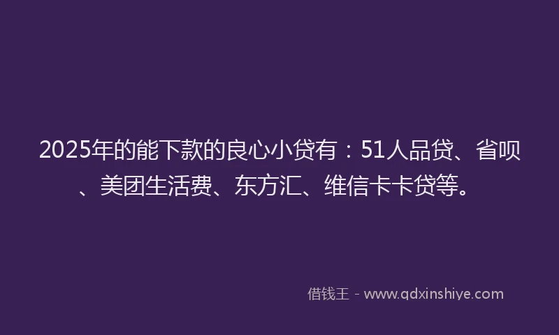 2025年的能下款的良心小贷有：51人品贷、省呗、美团生活费、东方汇、维信卡卡贷等。