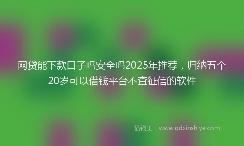 网贷能下款口子吗安全吗2025年推荐，归纳五个20岁可以借钱平台不查征信的软件