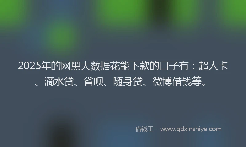 2025年的网黑大数据花能下款的口子有：超人卡、滴水贷、省呗、随身贷、微博借钱等。