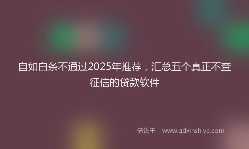 自如白条不通过2025年推荐，汇总五个真正不查征信的贷款软件