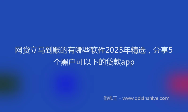 网贷立马到账的有哪些软件2025年精选，分享5个黑户可以下的贷款app