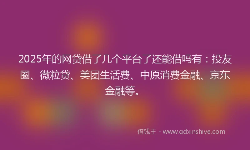 2025年的网贷借了几个平台了还能借吗有：投友圈、微粒贷、美团生活费、中原消费金融、京东金融等。
