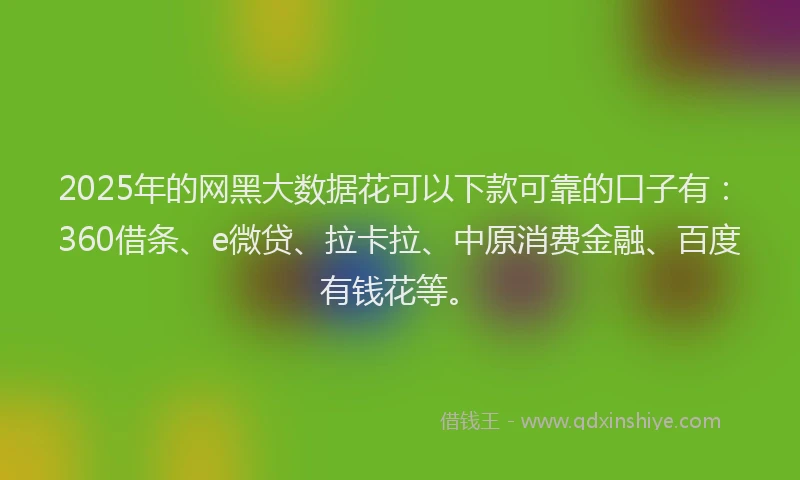 2025年的网黑大数据花可以下款可靠的口子有：360借条、e微贷、拉卡拉、中原消费金融、百度有钱花等。