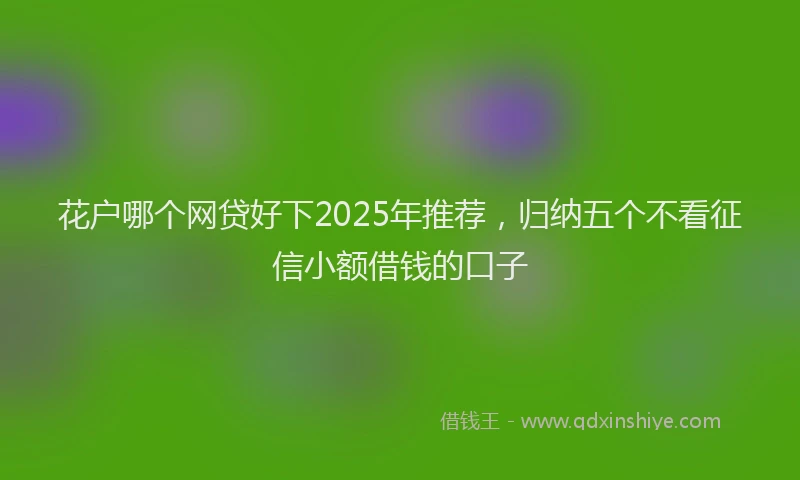 花户哪个网贷好下2025年推荐，归纳五个不看征信小额借钱的口子