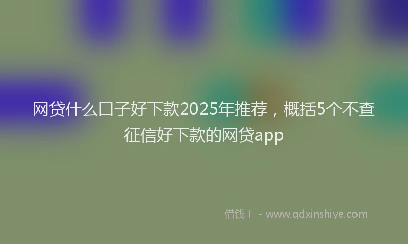 网贷什么口子好下款2025年推荐，概括5个不查征信好下款的网贷app