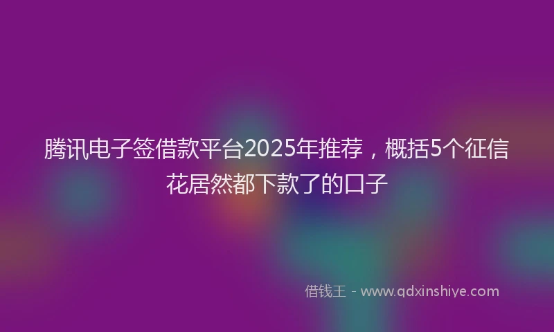 腾讯电子签借款平台2025年推荐，概括5个征信花居然都下款了的口子