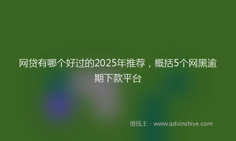 网贷有哪个好过的2025年推荐，概括5个网黑逾期下款平台