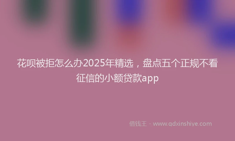花呗被拒怎么办2025年精选，盘点五个正规不看征信的小额贷款app