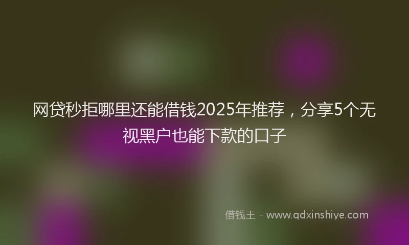 网贷秒拒哪里还能借钱2025年推荐，分享5个无视黑户也能下款的口子