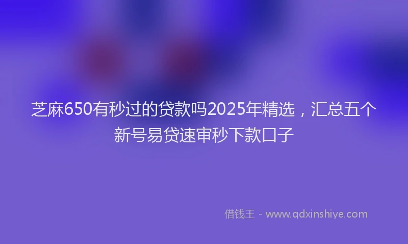 芝麻650有秒过的贷款吗2025年精选，汇总五个新号易贷速审秒下款口子