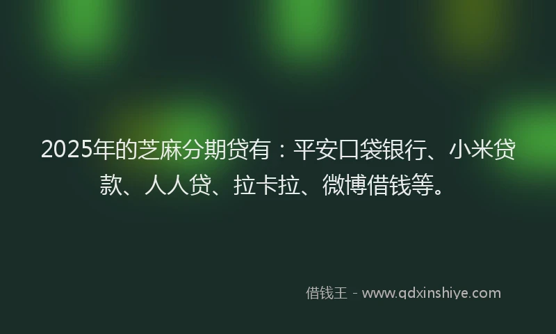 2025年的芝麻分期贷有：平安口袋银行、小米贷款、人人贷、拉卡拉、微博借钱等。
