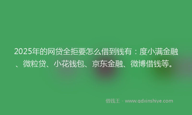 2025年的网贷全拒要怎么借到钱有：度小满金融、微粒贷、小花钱包、京东金融、微博借钱等。