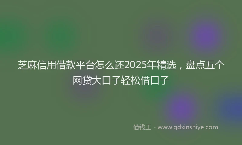芝麻信用借款平台怎么还2025年精选，盘点五个网贷大口子轻松借口子