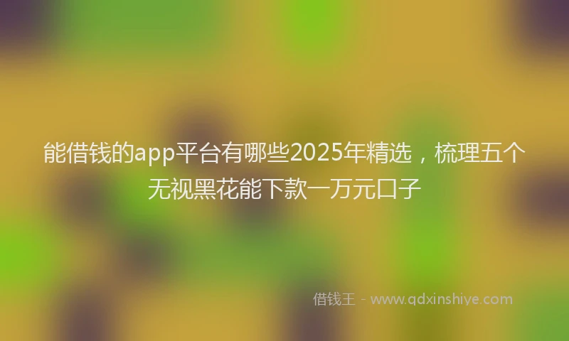 能借钱的app平台有哪些2025年精选，梳理五个无视黑花能下款一万元口子