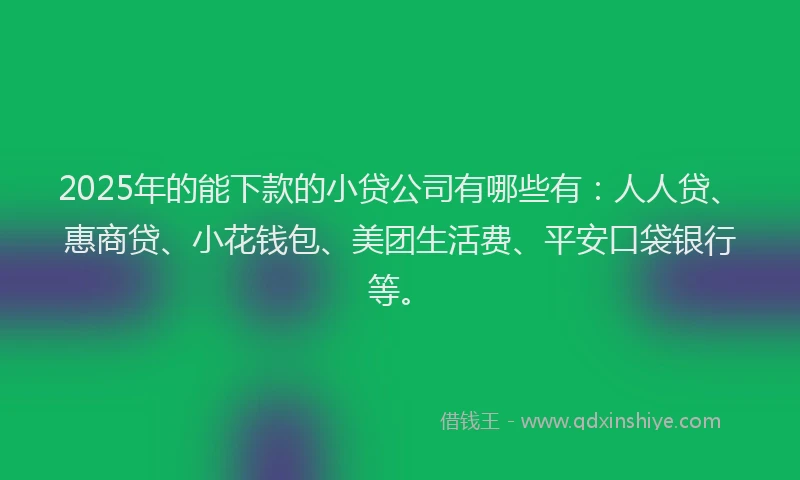 2025年的能下款的小贷公司有哪些有：人人贷、惠商贷、小花钱包、美团生活费、平安口袋银行等。