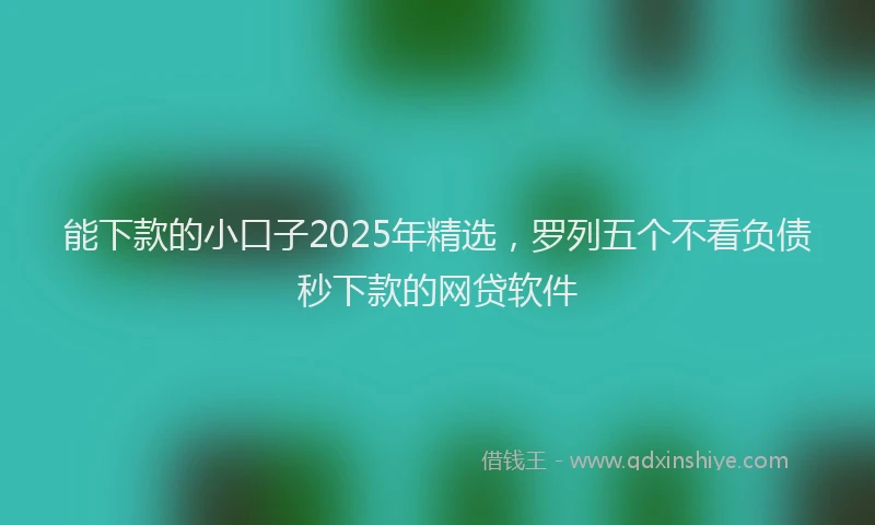 能下款的小口子2025年精选，罗列五个不看负债秒下款的网贷软件