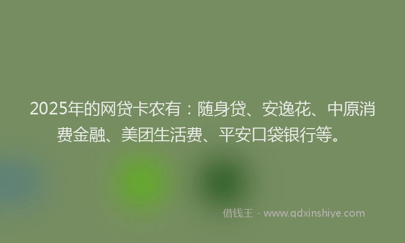 2025年的网贷卡农有：随身贷、安逸花、中原消费金融、美团生活费、平安口袋银行等。