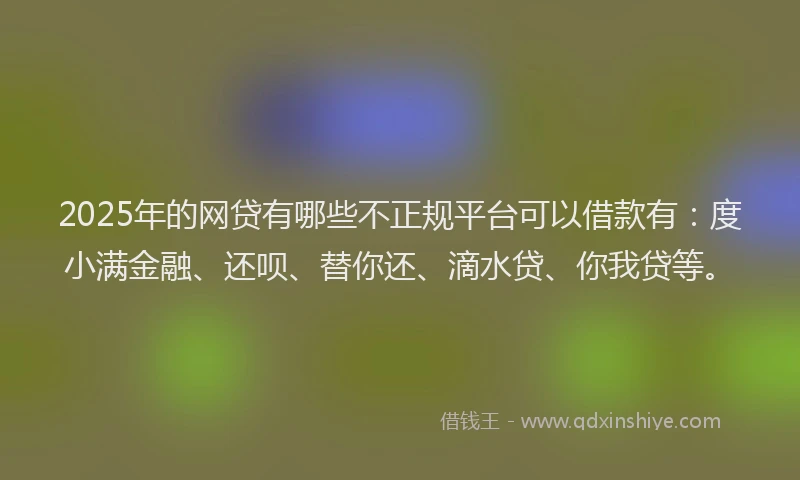 2025年的网贷有哪些不正规平台可以借款有：度小满金融、还呗、替你还、滴水贷、你我贷等。