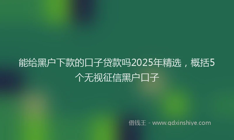 能给黑户下款的口子贷款吗2025年精选，概括5个无视征信黑户口子