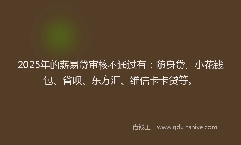 2025年的薪易贷审核不通过有：随身贷、小花钱包、省呗、东方汇、维信卡卡贷等。