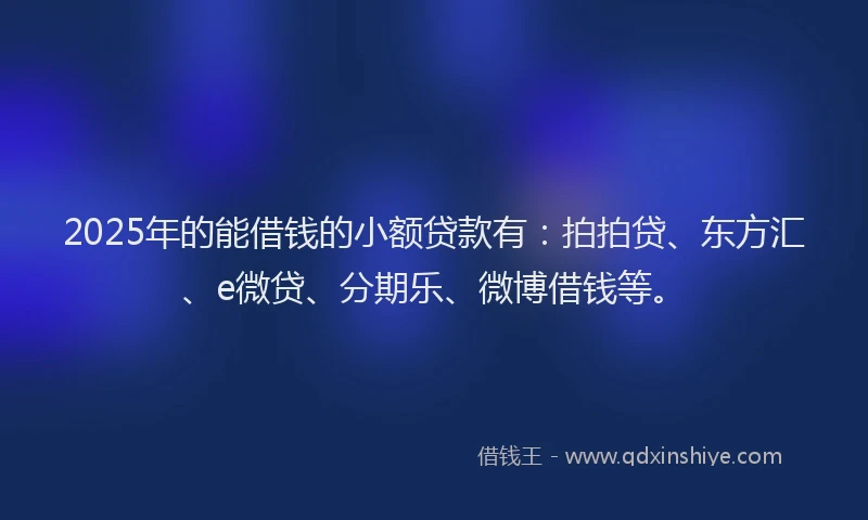 2025年的能借钱的小额贷款有：拍拍贷、东方汇、e微贷、分期乐、微博借钱等。