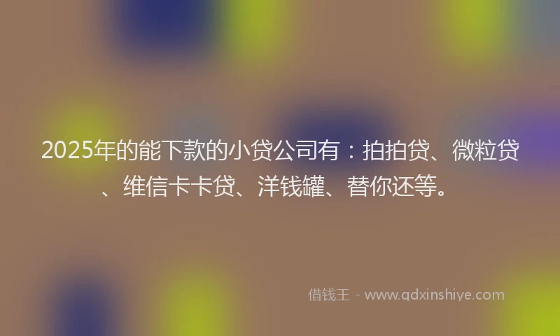 2025年的能下款的小贷公司有：拍拍贷、微粒贷、维信卡卡贷、洋钱罐、替你还等。