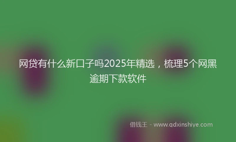 网贷有什么新口子吗2025年精选，梳理5个网黑逾期下款软件