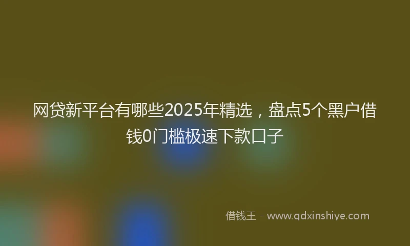 网贷新平台有哪些2025年精选，盘点5个黑户借钱0门槛极速下款口子