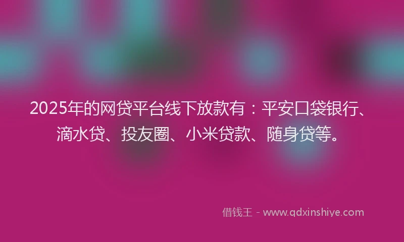 2025年的网贷平台线下放款有：平安口袋银行、滴水贷、投友圈、小米贷款、随身贷等。