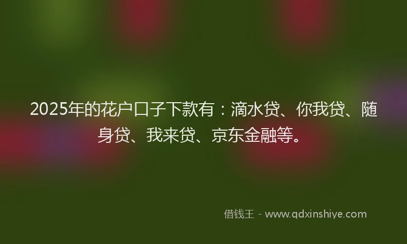 2025年的花户口子下款有：滴水贷、你我贷、随身贷、我来贷、京东金融等。