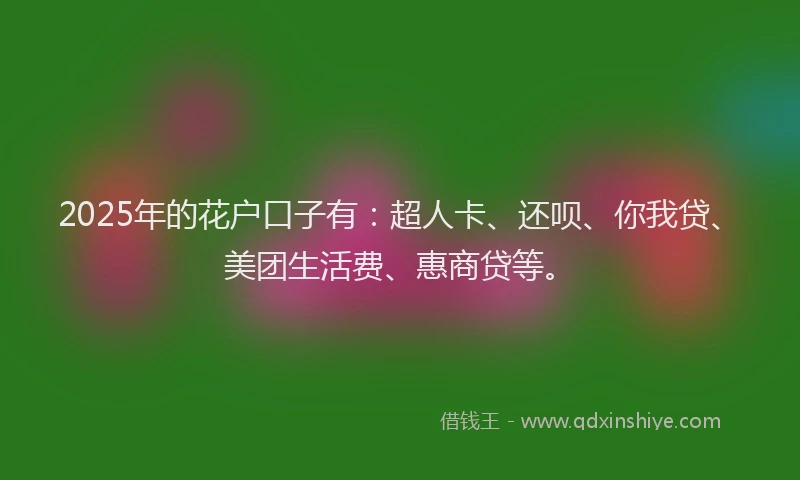 2025年的花户口子有：超人卡、还呗、你我贷、美团生活费、惠商贷等。