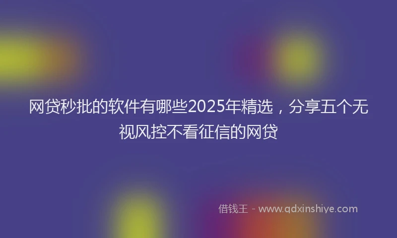 网贷秒批的软件有哪些2025年精选，分享五个无视风控不看征信的网贷