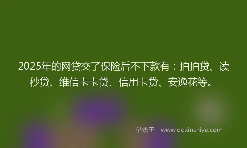 2025年的网贷交了保险后不下款有：拍拍贷、读秒贷、维信卡卡贷、信用卡贷、安逸花等。
