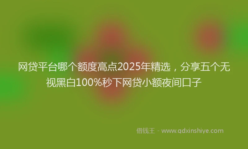 网贷平台哪个额度高点2025年精选，分享五个无视黑白100%秒下网贷小额夜间口子