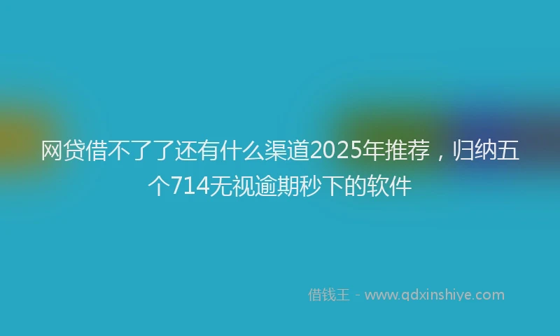 网贷借不了了还有什么渠道2025年推荐，归纳五个714无视逾期秒下的软件