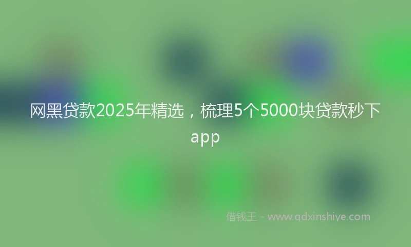 网黑贷款2025年精选，梳理5个5000块贷款秒下app