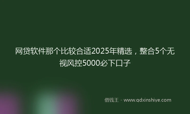网贷软件那个比较合适2025年精选，整合5个无视风控5000必下口子