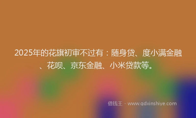 2025年的花旗初审不过有：随身贷、度小满金融、花呗、京东金融、小米贷款等。