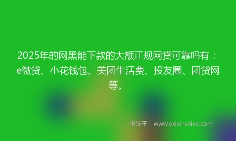 2025年的网黑能下款的大额正规网贷可靠吗有：e微贷、小花钱包、美团生活费、投友圈、团贷网等。