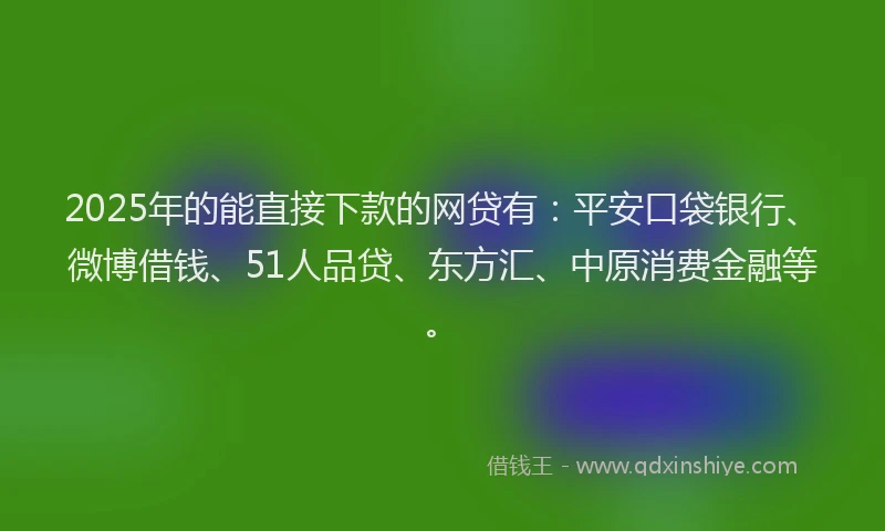 2025年的能直接下款的网贷有：平安口袋银行、微博借钱、51人品贷、东方汇、中原消费金融等。
