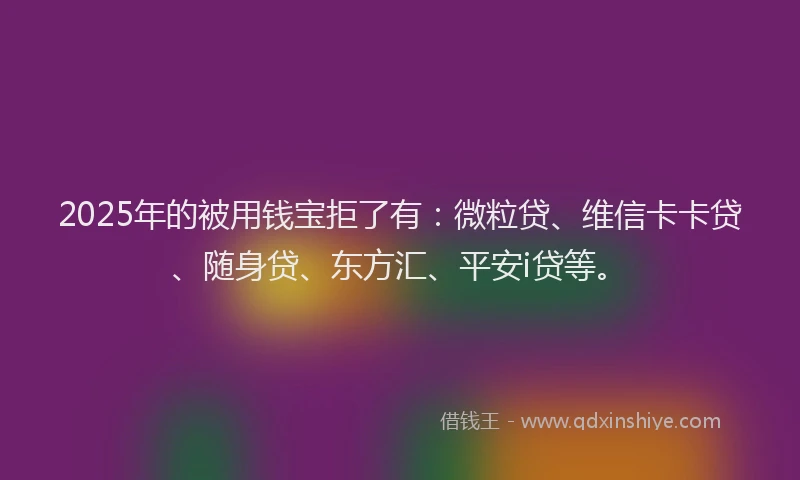 2025年的被用钱宝拒了有：微粒贷、维信卡卡贷、随身贷、东方汇、平安i贷等。