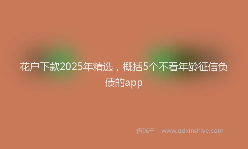 花户下款2025年精选，概括5个不看年龄征信负债的app