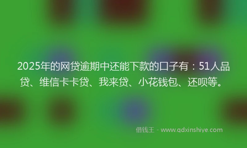 2025年的网贷逾期中还能下款的口子有：51人品贷、维信卡卡贷、我来贷、小花钱包、还呗等。