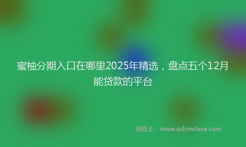 蜜柚分期入口在哪里2025年精选，盘点五个12月能贷款的平台