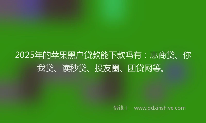 2025年的苹果黑户贷款能下款吗有：惠商贷、你我贷、读秒贷、投友圈、团贷网等。