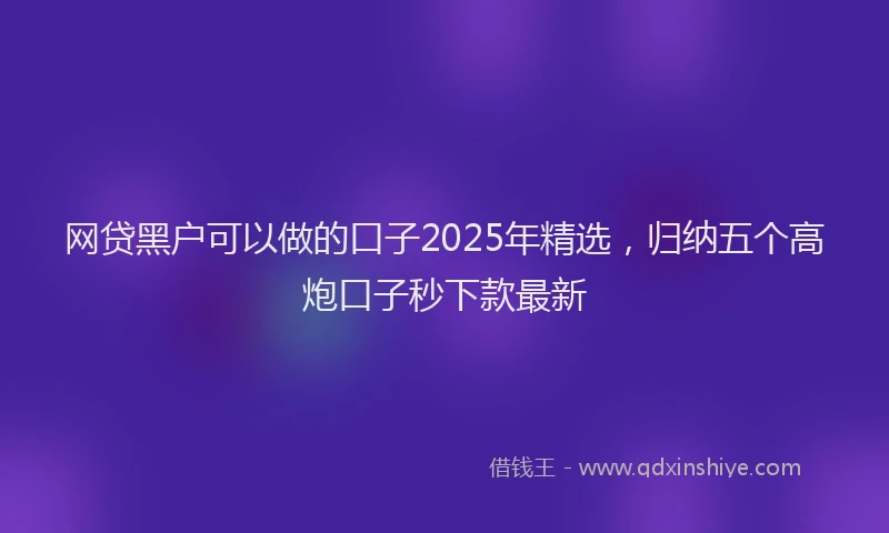 网贷黑户可以做的口子2025年精选，归纳五个高炮口子秒下款最新