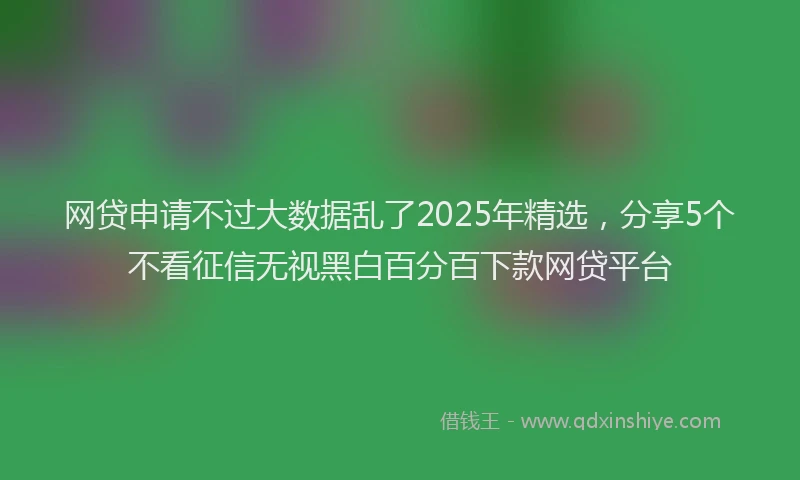 网贷申请不过大数据乱了2025年精选，分享5个不看征信无视黑白百分百下款网贷平台